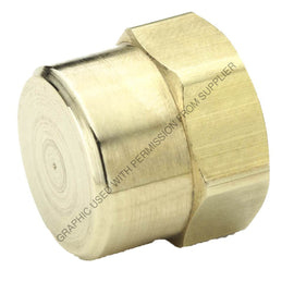 PH  213P 8 PIPE CAP