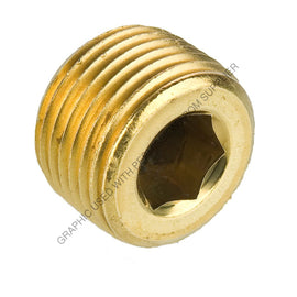 PH  219P 12 NPT HOLLOW HEX PLUG