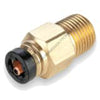 PH  68PTC 10 8 BRASS FITTING