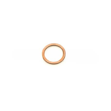 0119135PE RingCopper 263X319X2Mm