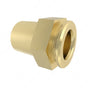04-33208-000 FTG-SV246 NG12,1/2"MPT,BRASS