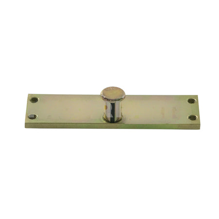 04006-1 PIN & PLATE ASSY