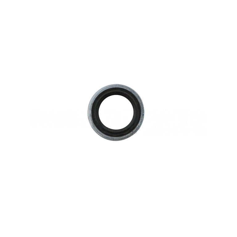 1000309831BSM WasherStatOSeal 12