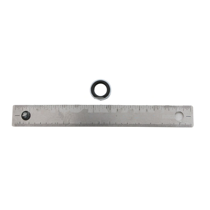 1000309831BSM WasherStatOSeal 12