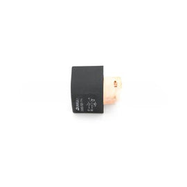 1000611575BSM RELAY-100A 12V W/ RESISTER