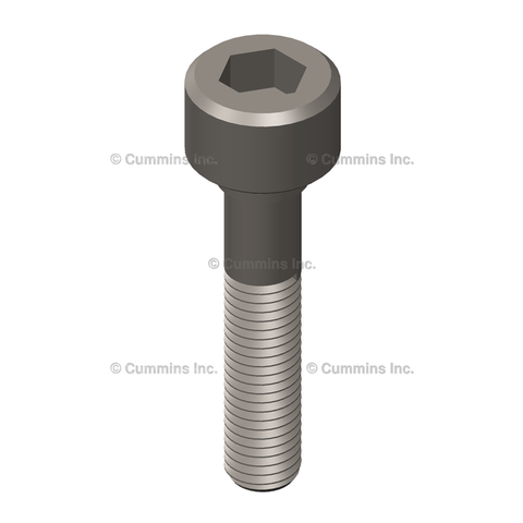 100129 SCREW,SOCKET HEAD CAP