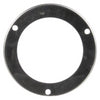 10715TLT RING-SECURITY FLG MNT LIGHT