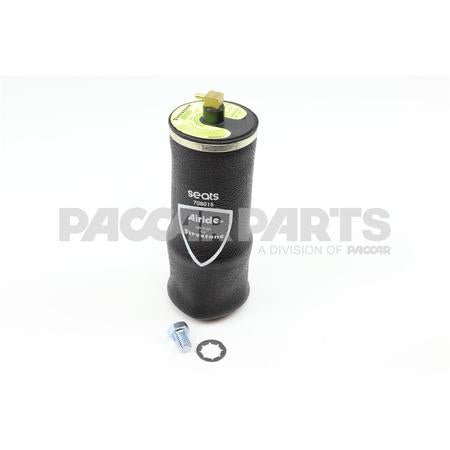 107338PS Air Bag