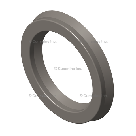 127936 SEAL,RECTANGULAR RING