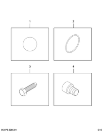 1663633C91 GEAR,KIT AUTO BLEED SCR