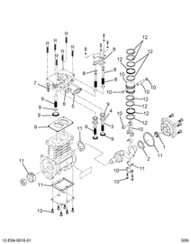 1685888C91 PISTON,KIT PISTON W/RING & ROD