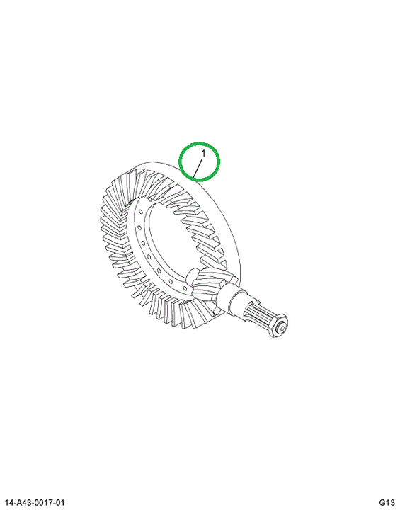 1694484C91 Gear Set, Ring And Pinion Diff