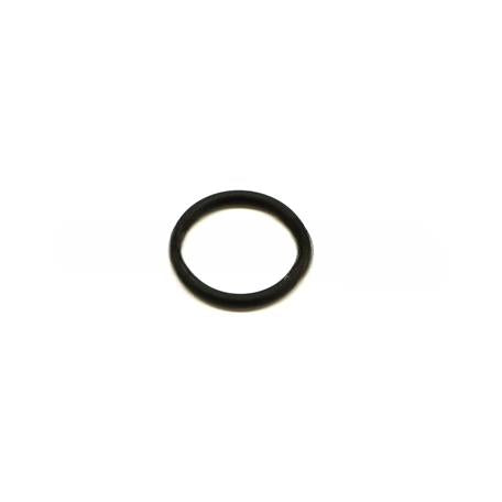 1734273PE ORing 193X24Mm