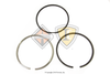 1817247C93 PACKAGE PISTON RING