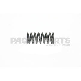 1819063PE SpringValve Engine