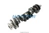 1830596C93 CRNKSHFT,CRANKSHAFT, ASSEMBLY