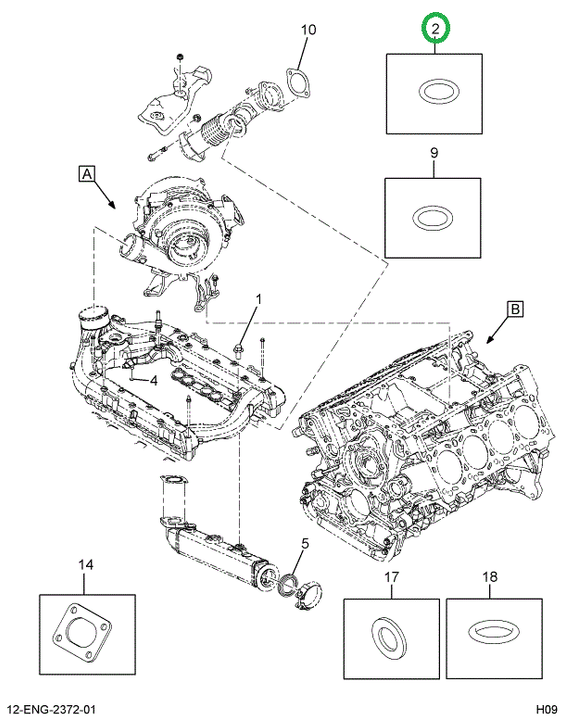 1843955C1 RING O