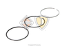 1876098C91 PACKAGE,KIT PISTON RING 466ST