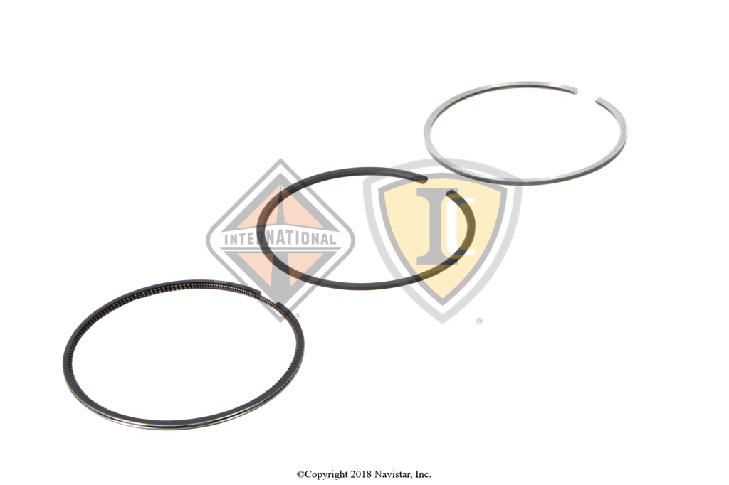 1876098C91 PACKAGE,KIT PISTON RING 466ST