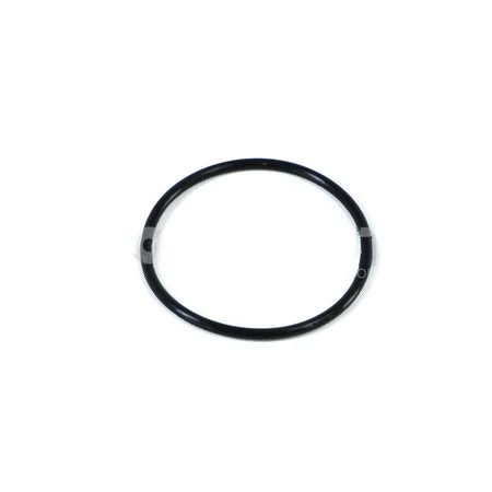2022929PE GasketWater Pump
