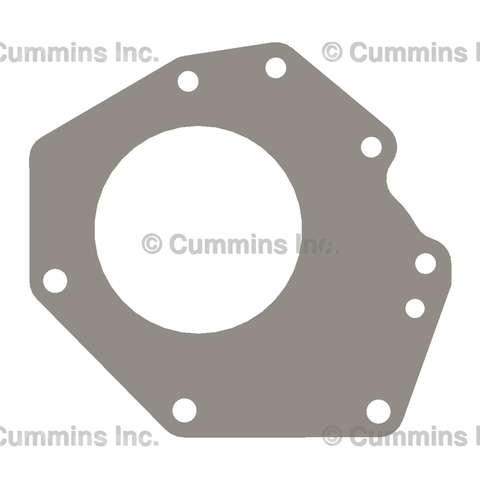 212786 GASKET,HYDRAULIC PUMP