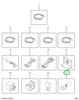 2206636C1 Terminal, Elect, Ring Pidg 1/4
