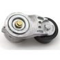 2234864PE TensionerV Belt