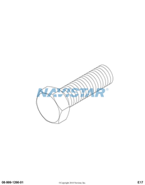 22728R1 BOLT HH 1/4-20X3/4 PLN SST 304