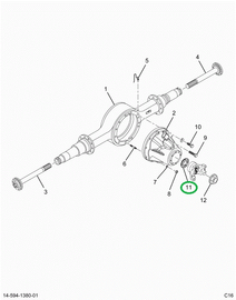 2516118C91 SHAFT,NUT AND SEAL REAR REAR D