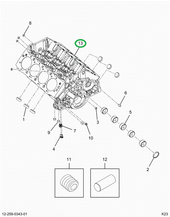 2522415C91 ENGINE, 8.8L W PROPANE, W BLK
