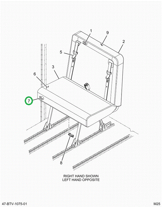 2524127C1 Cushion, Seat Bottom Foam