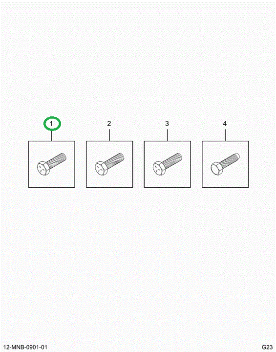 2524807C1 Bolt