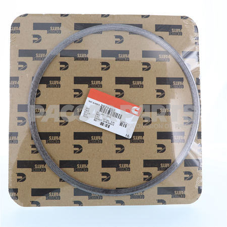 2871451CUM GasketAfm Device