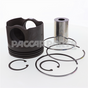 2881960CUM KIT-PISTON
