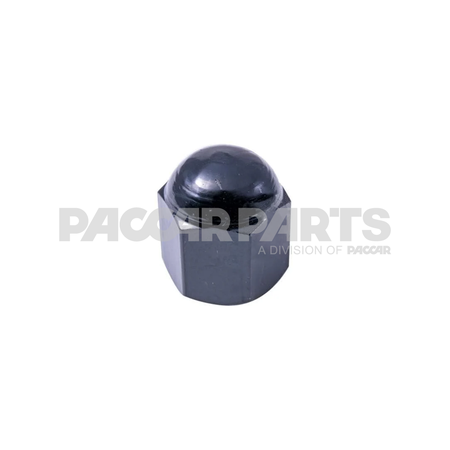 300757WEX NutAcorn Steel Pivot Shaft