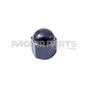 300757WEX NutAcorn Steel Pivot Shaft