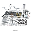 3007651C99 HEAD,KIT, CYLINDER HD REMOVAL