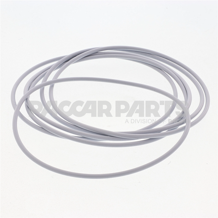 3033247CUM SealO Ring