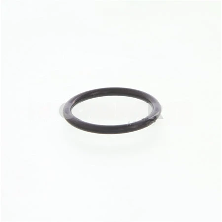 3035027CUM SealO Ring