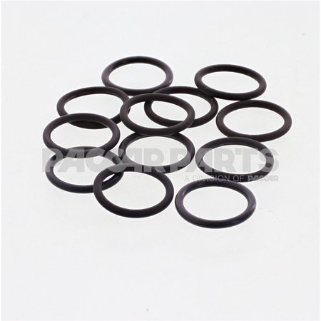 3046201CUM SealO Ring