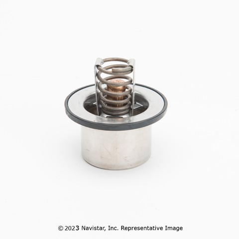 3049000 THERMOSTAT