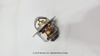 3049000 THERMOSTAT