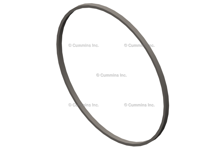3054947 RingLiner Seal
