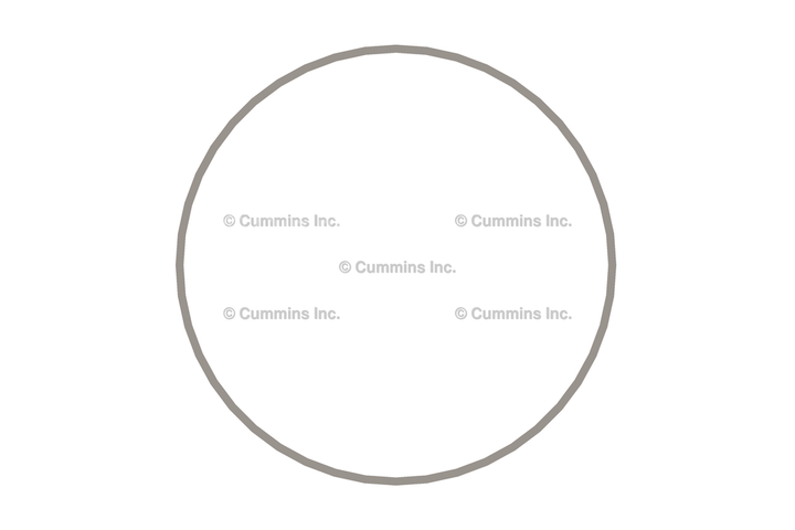 3054948 RING,LINER SEAL