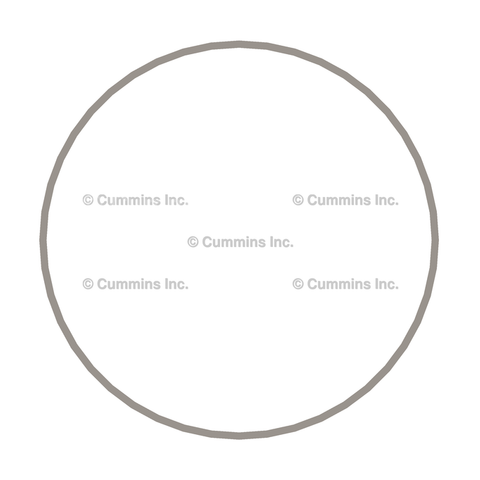3054948 RING,LINER SEAL