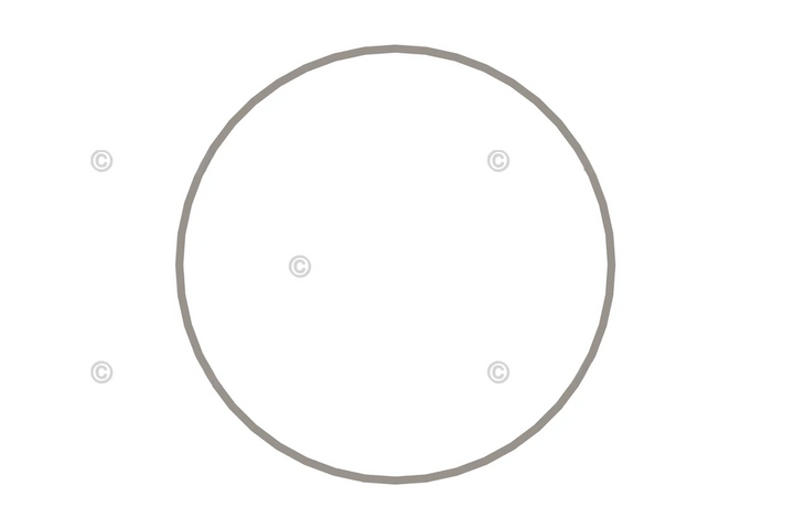 3065406 RingLiner Seal