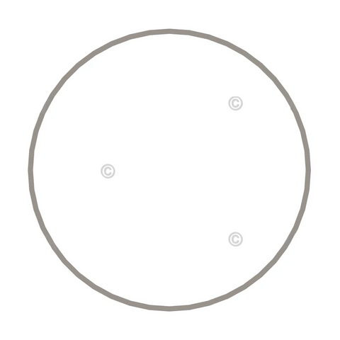 3065406 RingLiner Seal
