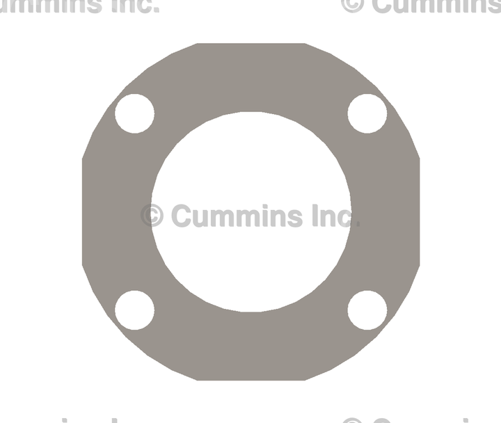 3070108 GASKET,BYPASS VALVE BODY