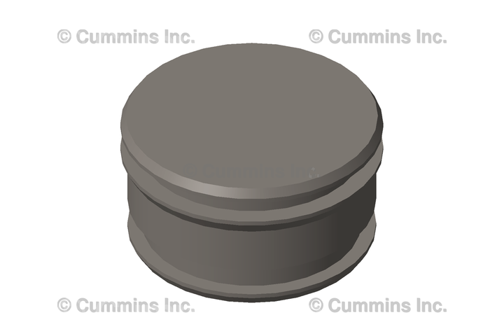 3071229 PlugO Ring