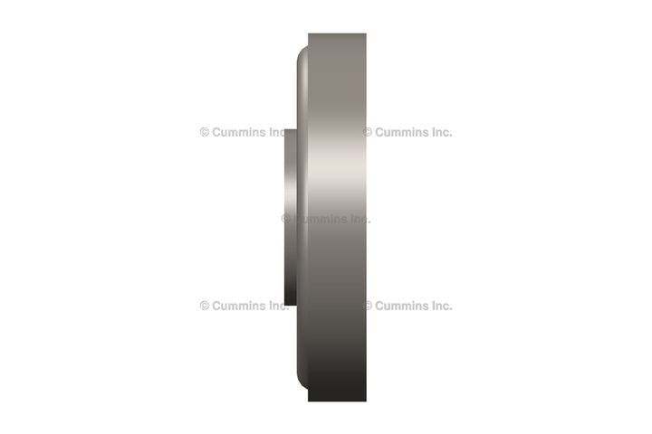 3073998 DISC,VALVE